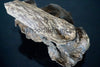 OUD Silani Bakhoor muattar - wild agarwood blended with a hint of musk tahara 50g